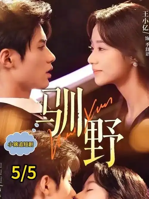 灯塔守夜人剧集封面